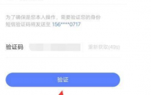 上海这边用的最多的手机验证码app是什么