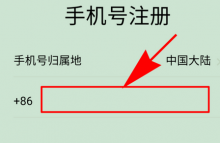 国内的短信平台做跨境电商可以用吗