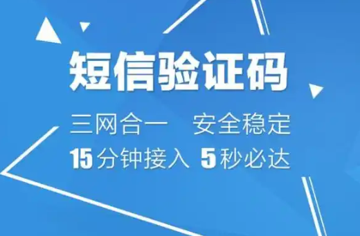 手机验证码短信在支付验证中的作用